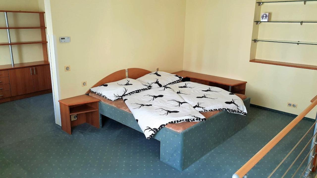 Spa Apartment Raisova Karlsbad Buitenkant foto